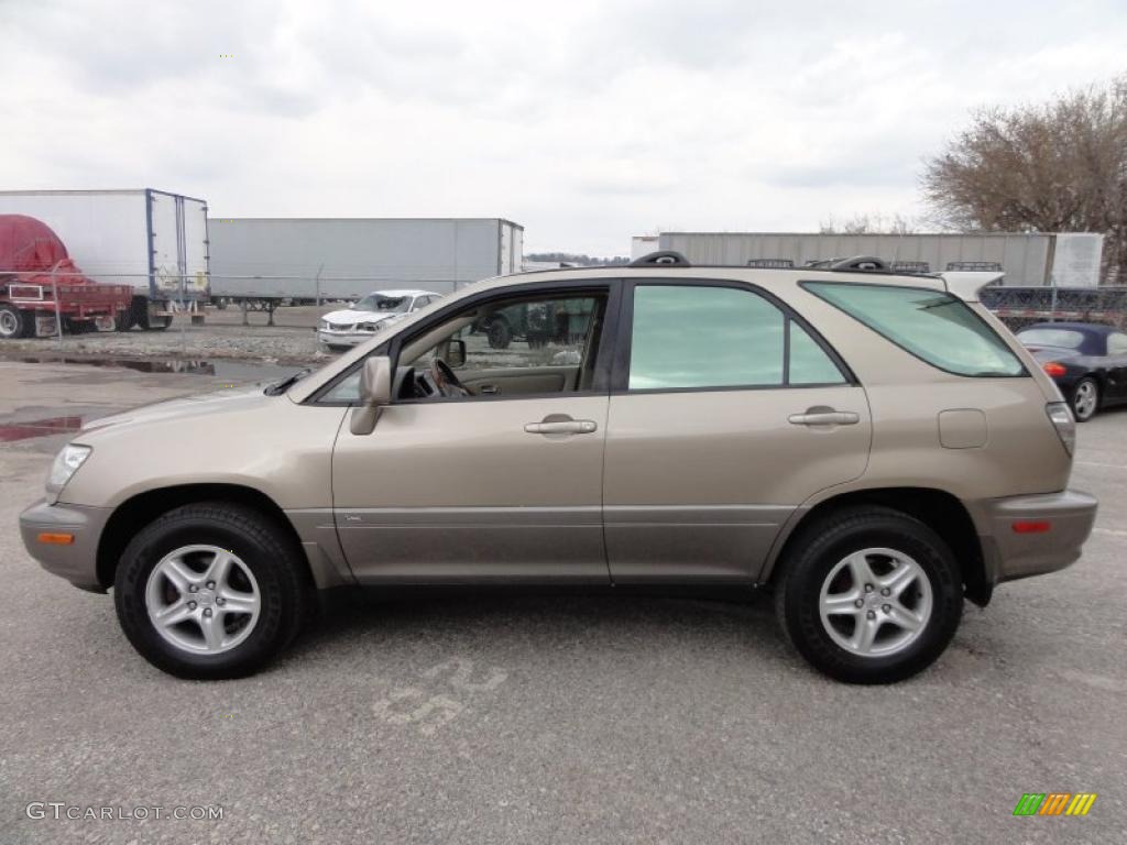 2001 RX 300 AWD - Burnished Gold Metallic / Ivory photo #11