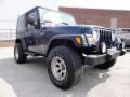 Patriot Blue - Wrangler Sport 4x4 Photo No. 5