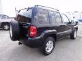 2003 Black Clearcoat Jeep Liberty Limited 4x4  photo #8