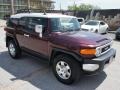 Black Cherry Pearl - FJ Cruiser 4WD Photo No. 6