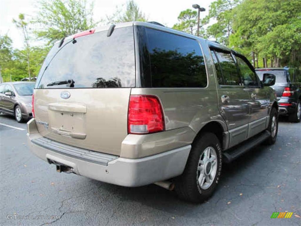 2003 Expedition XLT - Arizona Beige Metallic / Medium Parchment photo #2