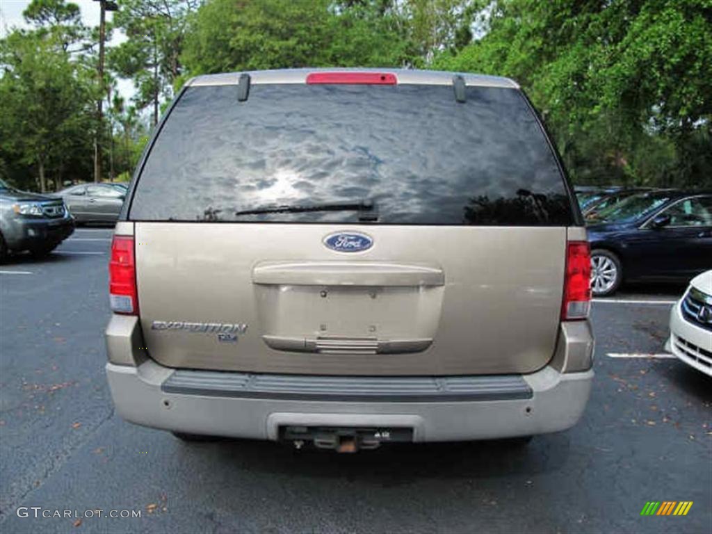 2003 Expedition XLT - Arizona Beige Metallic / Medium Parchment photo #3