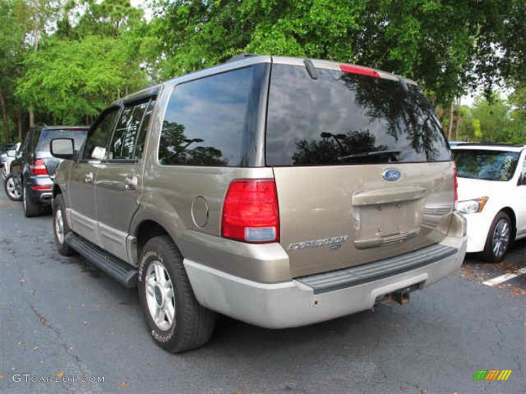 2003 Expedition XLT - Arizona Beige Metallic / Medium Parchment photo #4