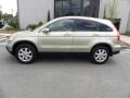 2007 Borrego Beige Metallic Honda CR-V EX-L  photo #2