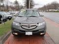 Nimbus Gray Metallic - MDX Technology Photo No. 2