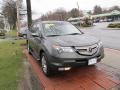 Nimbus Gray Metallic - MDX Technology Photo No. 3