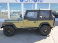 Sage Green 1992 Jeep Wrangler Gallery