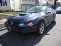 2002 True Blue Metallic Ford Mustang GT Coupe  photo #1