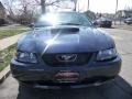2002 True Blue Metallic Ford Mustang GT Coupe  photo #11