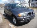 Steel Grey Metallic - X5 3.0i Photo No. 2