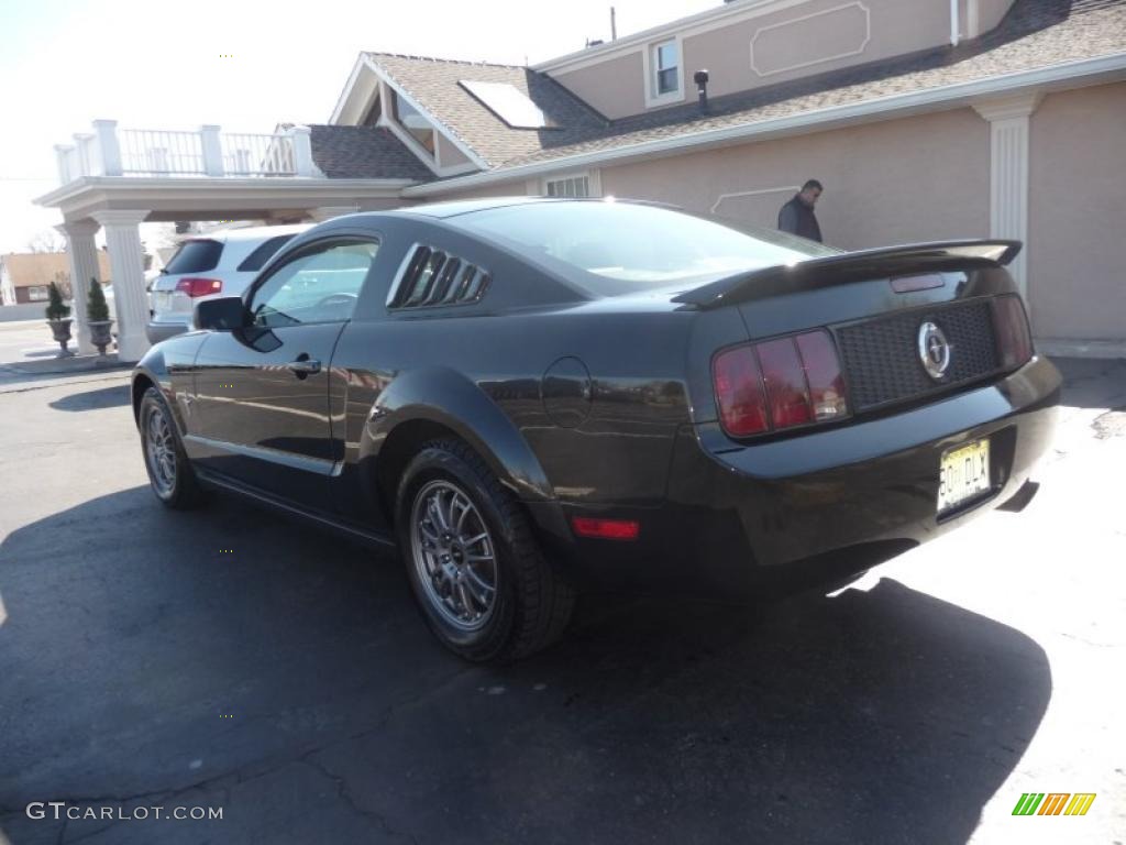 2006 Mustang V6 Premium Coupe - Black / Dark Charcoal photo #4