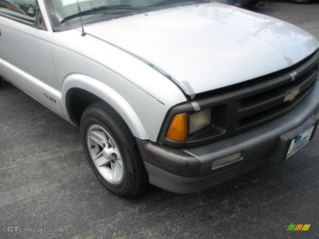 1995 S10 LS Regular Cab - Silver Metallic / Gray photo #2
