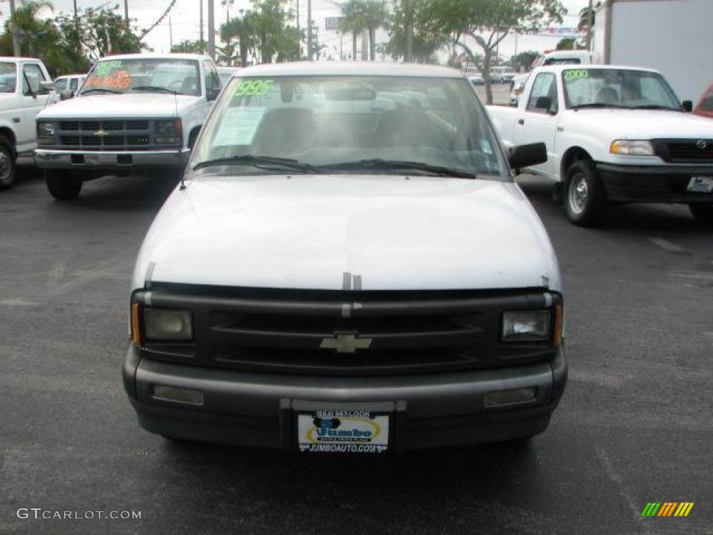 1995 S10 LS Regular Cab - Silver Metallic / Gray photo #3