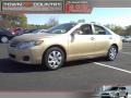 Sandy Beach Metallic - Camry  Photo No. 1