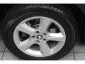Titanium Silver Metallic - X5 3.0si Photo No. 16
