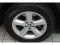 Titanium Silver Metallic - X5 3.0si Photo No. 23