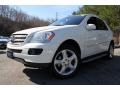 Arctic White - ML 350 4Matic Photo No. 1