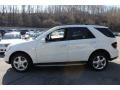 Arctic White - ML 350 4Matic Photo No. 3