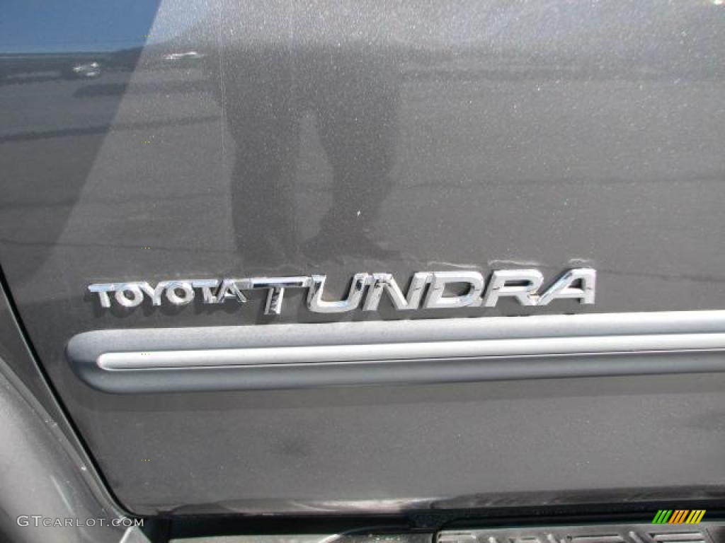 2005 Tundra SR5 TRD Sport Access Cab - Phantom Gray Pearl / Light Charcoal photo #7