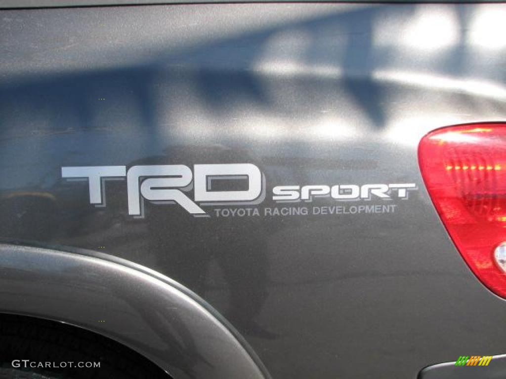 2005 Tundra SR5 TRD Sport Access Cab - Phantom Gray Pearl / Light Charcoal photo #8