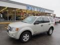 2008 Light Sage Metallic Ford Escape XLT  photo #1