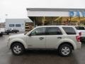 2008 Light Sage Metallic Ford Escape XLT  photo #2