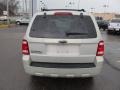 2008 Light Sage Metallic Ford Escape XLT  photo #6