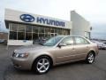 Golden Beige - Sonata SE V6 Photo No. 1