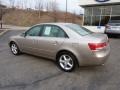 Golden Beige - Sonata SE V6 Photo No. 2