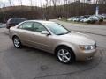 Golden Beige - Sonata SE V6 Photo No. 5