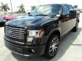 Tuxedo Black 2010 Ford F150 Harley-Davidson SuperCrew 4x4 Exterior