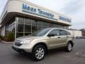 2007 Borrego Beige Metallic Honda CR-V EX 4WD  photo #1