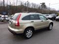 2007 Borrego Beige Metallic Honda CR-V EX 4WD  photo #4