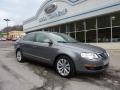 United Grey Metallic - Passat 2.0T Sedan Photo No. 1