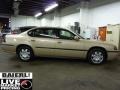 Light Driftwood Metallic - Impala  Photo No. 1