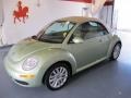 Gecko Green - New Beetle SE Convertible Photo No. 1