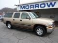 2005 Sandstone Metallic Chevrolet Suburban 1500 LS 4x4  photo #2