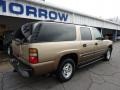 2005 Sandstone Metallic Chevrolet Suburban 1500 LS 4x4  photo #10