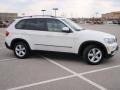 Alpine White - X5 3.0si Photo No. 5