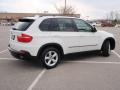 Alpine White - X5 3.0si Photo No. 6