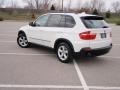 Alpine White - X5 3.0si Photo No. 9