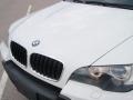 Alpine White - X5 3.0si Photo No. 12