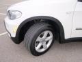 Alpine White - X5 3.0si Photo No. 13