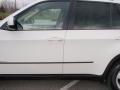 Alpine White - X5 3.0si Photo No. 14