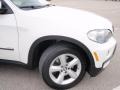 Alpine White - X5 3.0si Photo No. 19