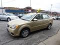 Cashmere Beige 2010 Kia Rio LX Sedan Exterior