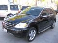 Black - ML 350 4Matic Photo No. 8
