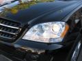 Black - ML 350 4Matic Photo No. 26