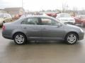 Platinum Grey Metallic - Jetta Wolfsburg Edition Sedan Photo No. 15