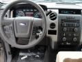 Pale Adobe Dashboard Photo for 2011 Ford F150 #47558777